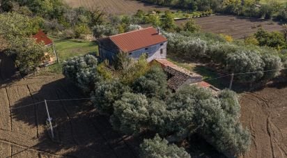 Terreno agricolo di 100.000 m² in Corridonia (62014)
