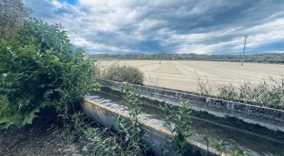 Terreno agricolo di 110.000 m² in Controguerra (64010)