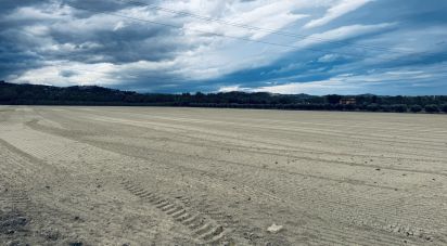 Terreno agricolo di 110.000 m² in Controguerra (64010)