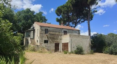 Casa indipendente / Villa 0 locali di 300 m² in San Benedetto del Tronto (63074)