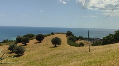 Casa indipendente / Villa 0 locali di 300 m² in San Benedetto del Tronto (63074)