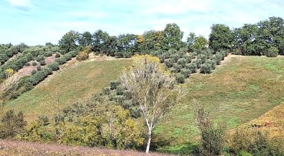 Terreno di 1.810 m² in Francavilla al Mare (66023)