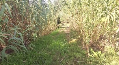 Terreno di 1.810 m² in Francavilla al Mare (66023)