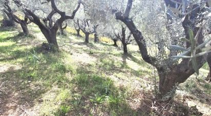 Terreno di 1.810 m² in Francavilla al Mare (66023)