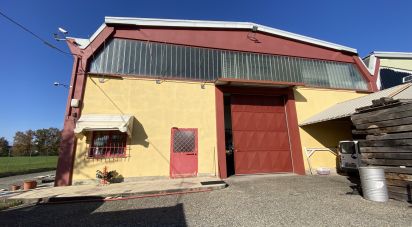 Warehouse of 5,000 m² in Leinì (10040)