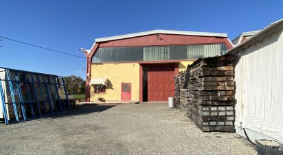 Warehouse of 5,000 m² in Leinì (10040)