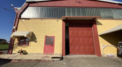 Warehouse of 5,000 m² in Leinì (10040)