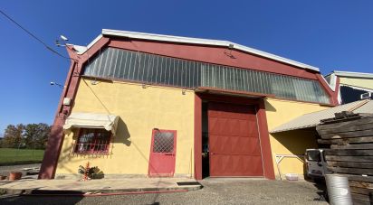 Warehouse of 5,000 m² in Leinì (10040)