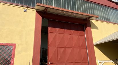 Warehouse of 5,000 m² in Leinì (10040)
