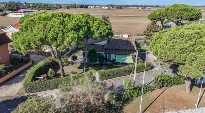 Townhouse 5 rooms of 260 m² in Lagosanto (44023)