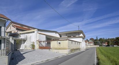 Capannone di 580 m² in San Carlo Canavese (10070)