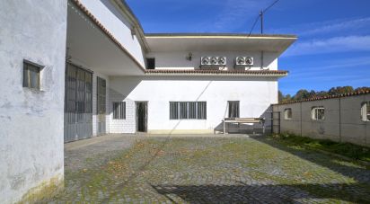 Capannone di 580 m² in San Carlo Canavese (10070)
