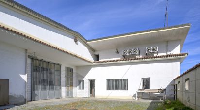 Capannone di 580 m² in San Carlo Canavese (10070)