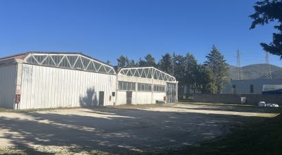 Warehouse of 440 m² in Foligno (06034)