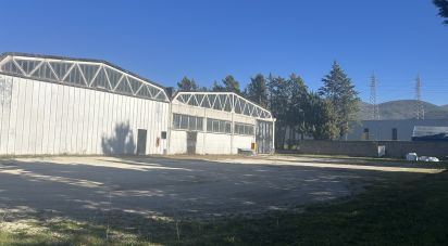 Warehouse of 440 m² in Foligno (06034)