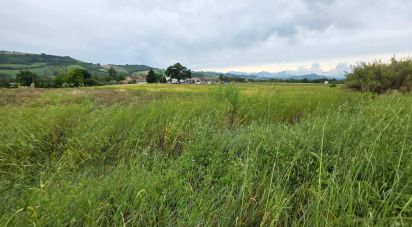 Terreno di 5.005 m² in Montegiorgio (63833)