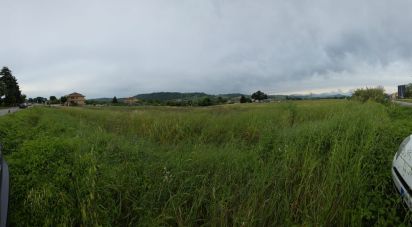 Terreno di 5.005 m² in Montegiorgio (63833)