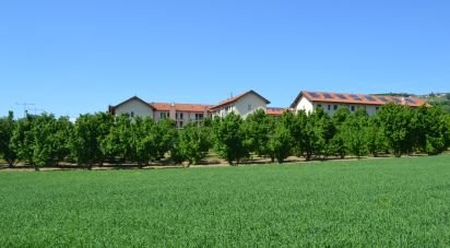 Terreno di 4.774 m² in Guarene (12050)