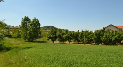 Terreno di 4.774 m² in Guarene (12050)