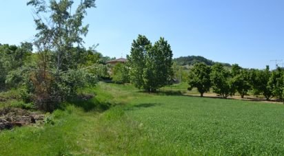 Terreno di 4.774 m² in Guarene (12050)