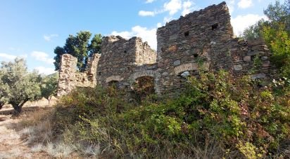 Terreno agricolo di 13.351 m² in Falerna (88042)