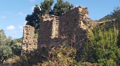 Terreno agricolo di 13.351 m² in Falerna (88042)