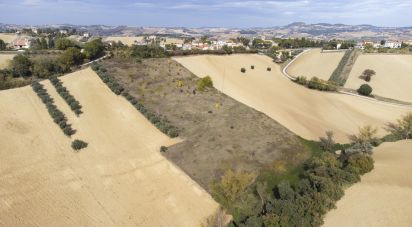 Terreno agricolo di 30.000 m² in Filottrano (60024)