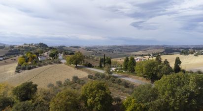 Terreno agricolo di 30.000 m² in Filottrano (60024)