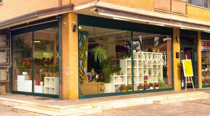 Retail property of 92 m² in Assisi (06081)