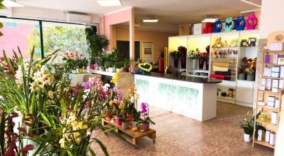 Retail property of 92 m² in Assisi (06081)