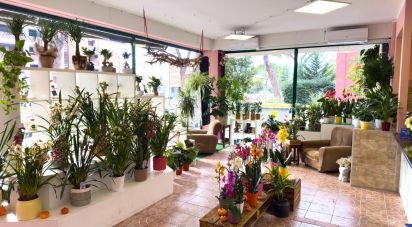 Retail property of 92 m² in Assisi (06081)