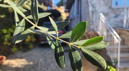 Quadrilocale di 120 m² a Sestri Levante (16039)