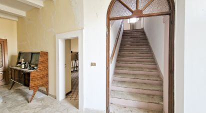 Costruzione di 543 m² in Mogliano (62010)