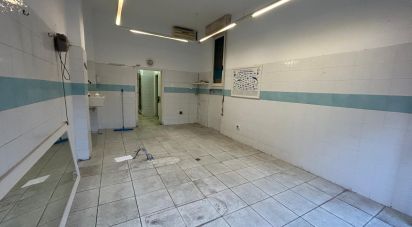 Shop / premises commercial of 39 m² in Firenze (50126)