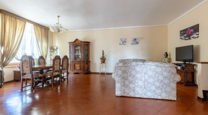 House 10 rooms of 159 m² in Bientina (56031)