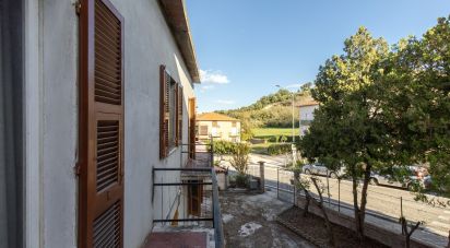 Other surface 12 rooms of 330 m² in Sant'Elpidio a Mare (63811)