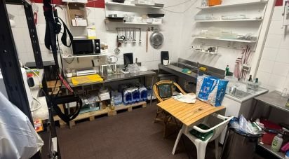 Retail property of 40 m² in Firenze (50137)