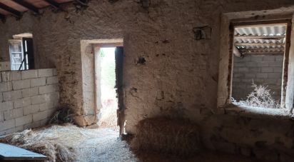 Land of 11,660 m² in Arzachena (07021)