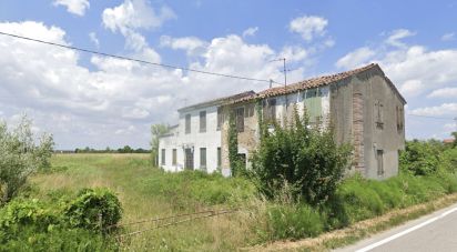 Terreno di 5.000 m² in Sant'Angelo di Piove di Sacco (35020)