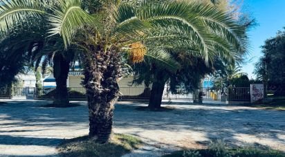 Bilocale di 62 m² a San Benedetto del Tronto (63074)