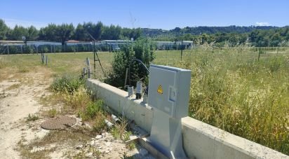 Terreno di 600 m² in Cupra Marittima (63061)