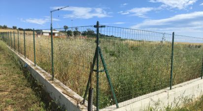 Terreno di 600 m² in Cupra Marittima (63061)