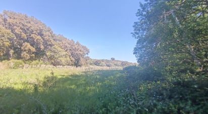 Terreno di 8.723 m² in Telti (07020)