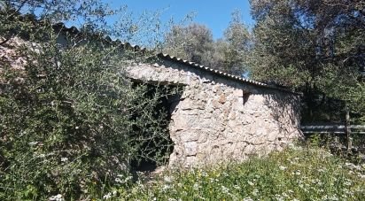 Terreno di 73.188 m² in Telti (07020)