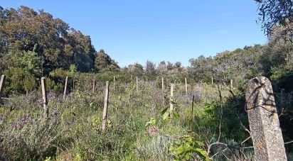 Terreno di 73.188 m² in Telti (07020)