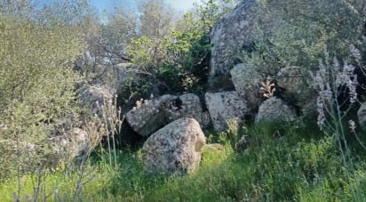 Terreno di 73.188 m² in Telti (07020)