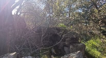 Terreno di 73.188 m² in Telti (07020)