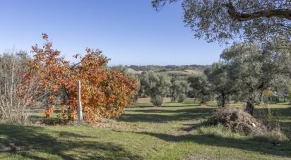 Casa indipendente / Villa 8 locali di 160 m² in Mogliano (62010)