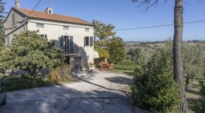 Casa indipendente / Villa 8 locali di 160 m² in Mogliano (62010)