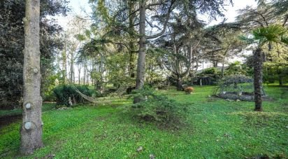 House boat 3 rooms of 183 m² in Mesola (44026)